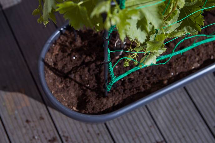 green basics jardiniere treillis 80cm living noir